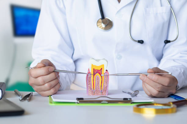 Best Emergency Broken Tooth Repair in Adrian, MO